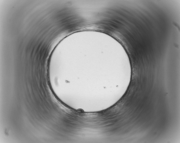 X0000102021483200808151304