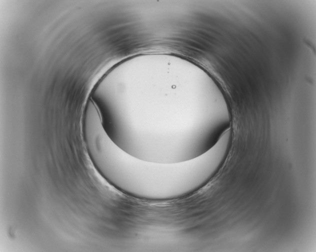 X0000102021484200808151304