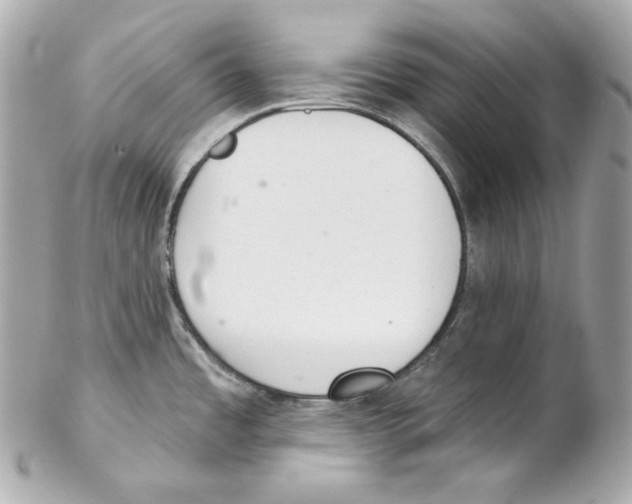 X0000102021485200808151304