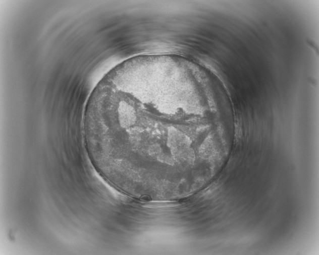 X0000102021487200808151304