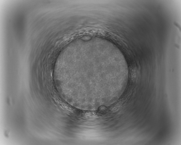 X0000102021489200808151303