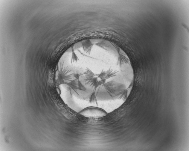 X0000102021490200808151303