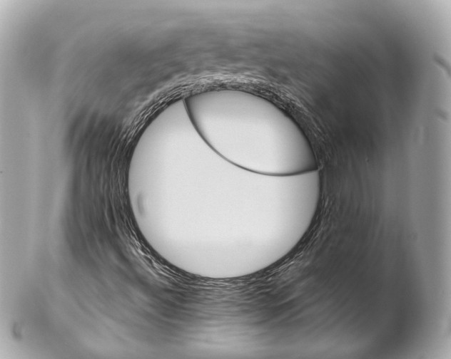X0000102021492200808151303