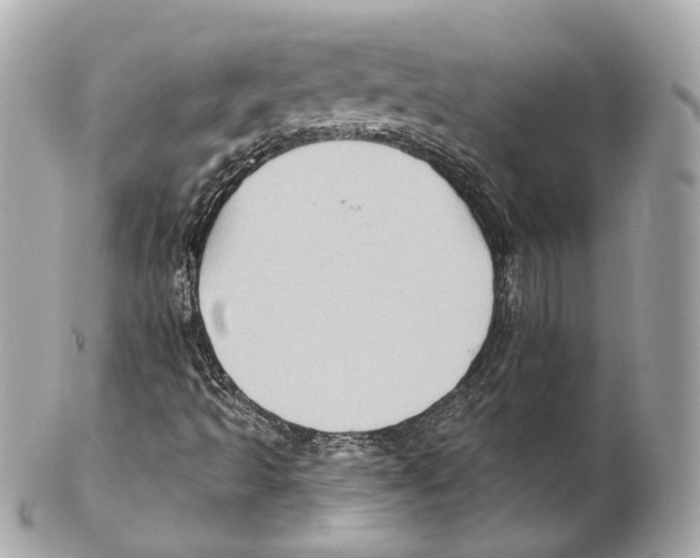 X0000102021493200808151303