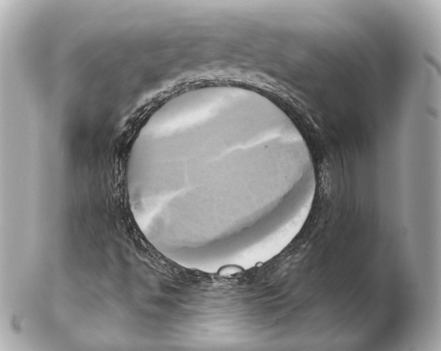 X0000102021494200808151303