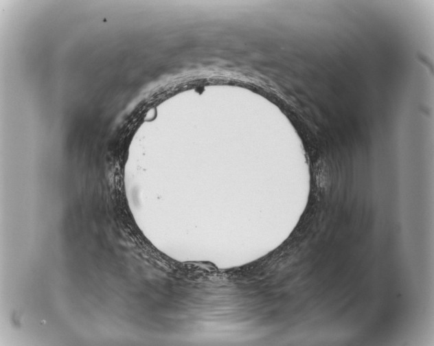 X0000102021495200808151303