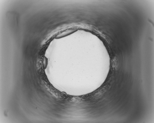 X0000102021496200808151303