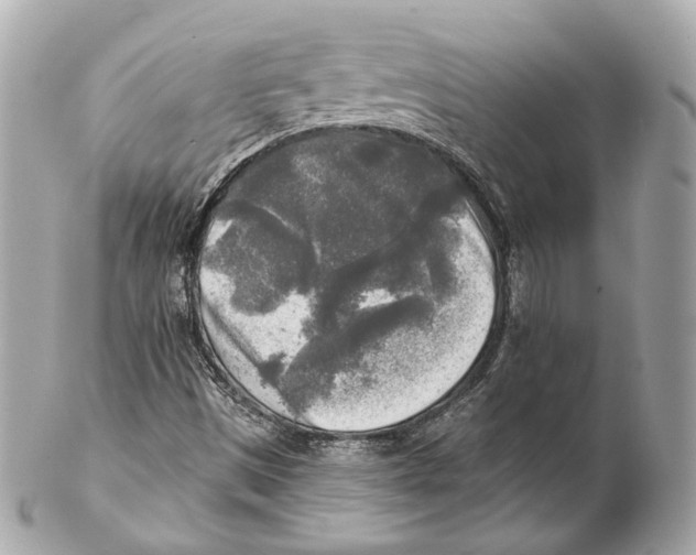 X0000102021497200808151303