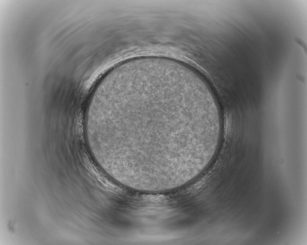 X0000102021498200808151303