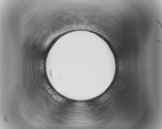 X0000102021499200808151303