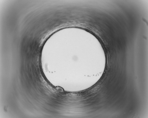 X0000102021500200808151303