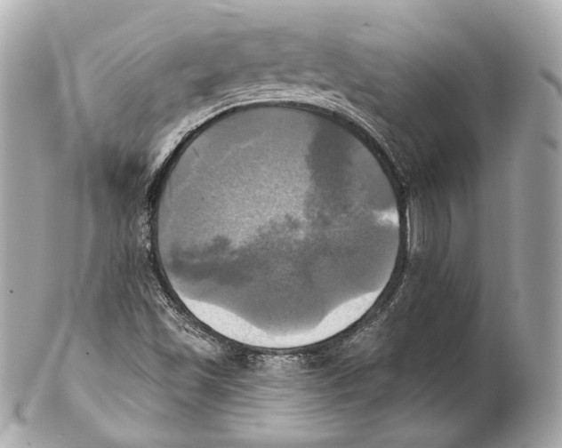 X0000102021501200808151303