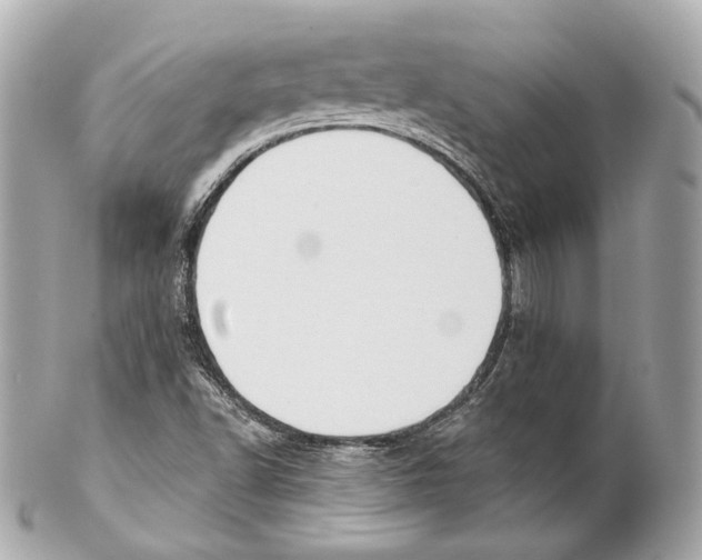 X0000102021502200808151303
