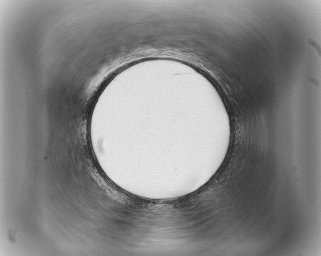 X0000102021503200808151303