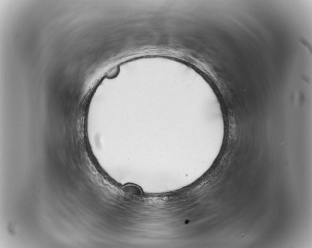 X0000102021504200808151303