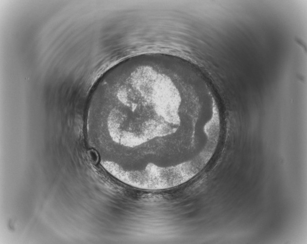 X0000102021505200808151303