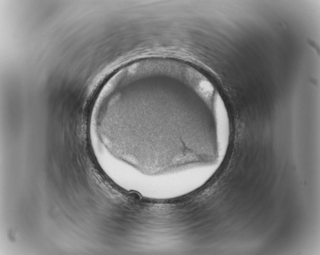 X0000102021506200808151303
