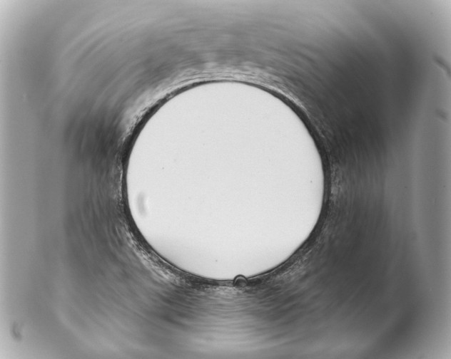 X0000102021507200808151303