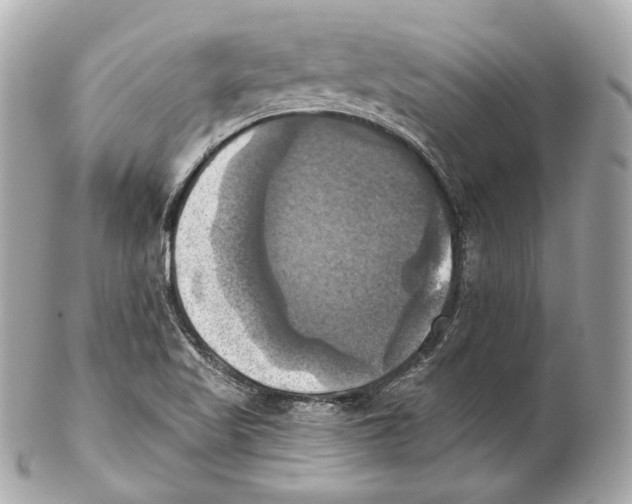 X0000102021509200808151303