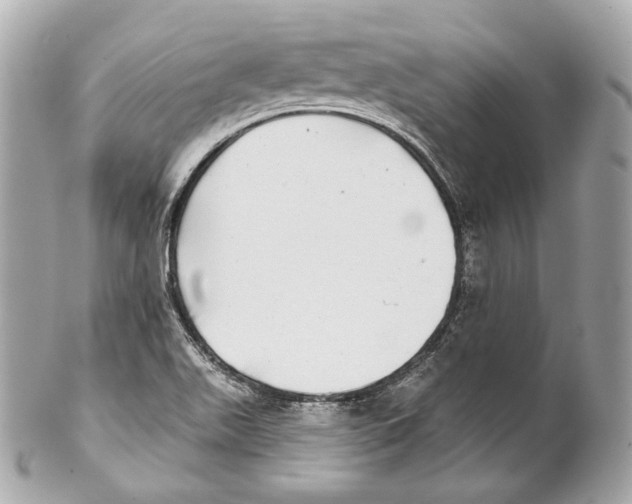 X0000102021511200808151303