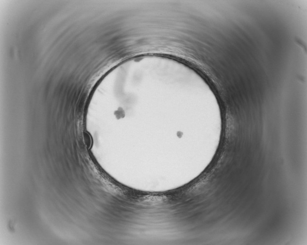 X0000102021513200808151303