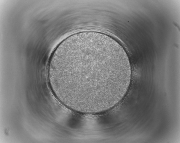 X0000102021514200808151303