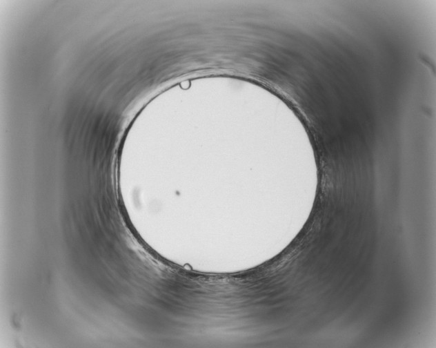 X0000102021516200808151303