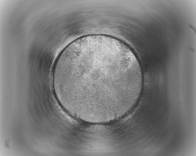 X0000102021517200808151303