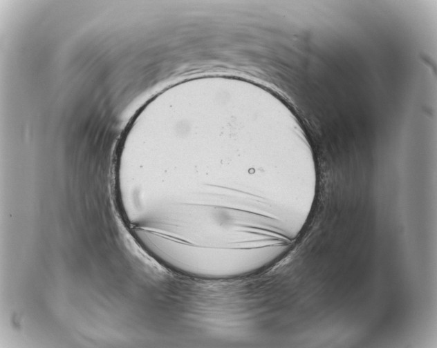 X0000102021518200808151303