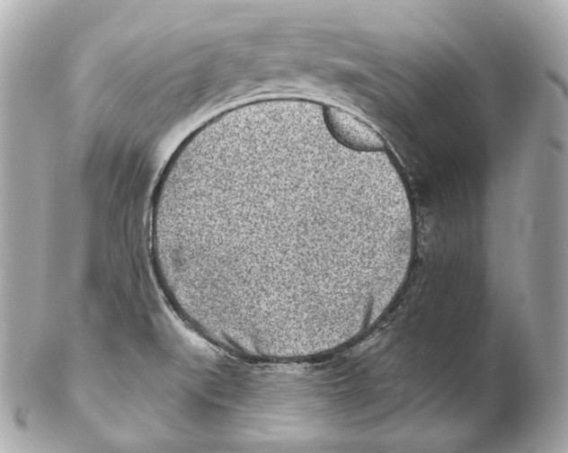 X0000102021519200808151303