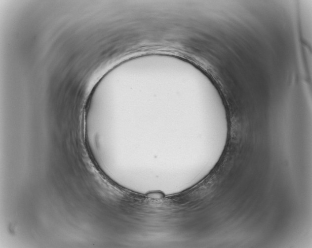 X0000102021520200808151303