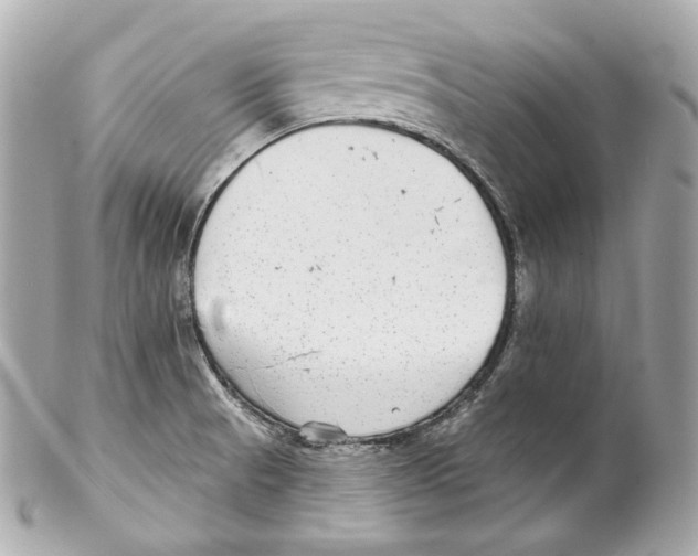 X0000102021521200808151303