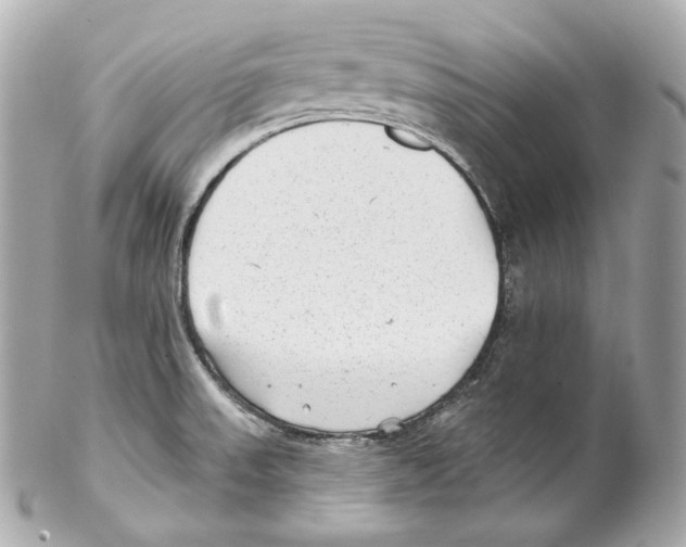 X0000102021523200808151303