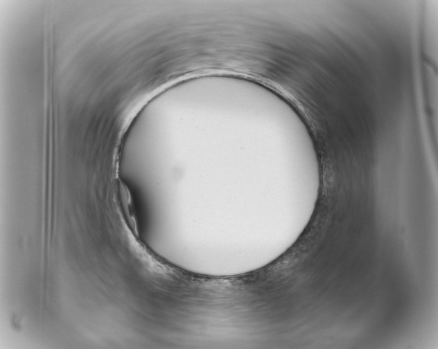 X0000102021524200808151303