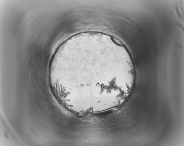 X0000102021525200808151303