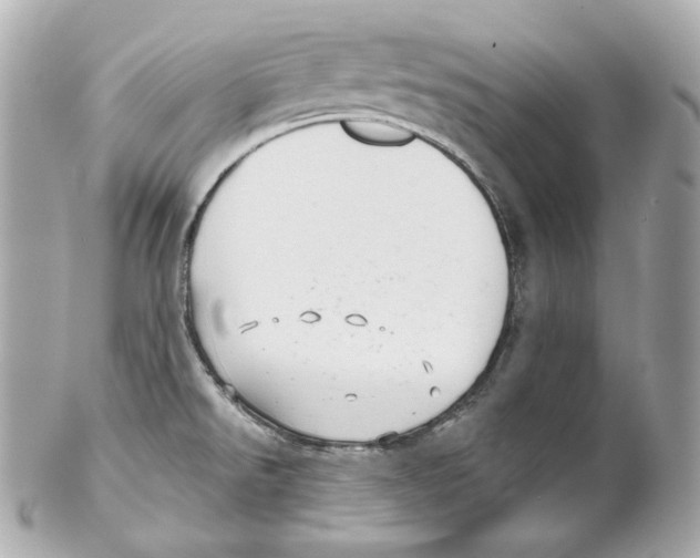 X0000102021526200808151303
