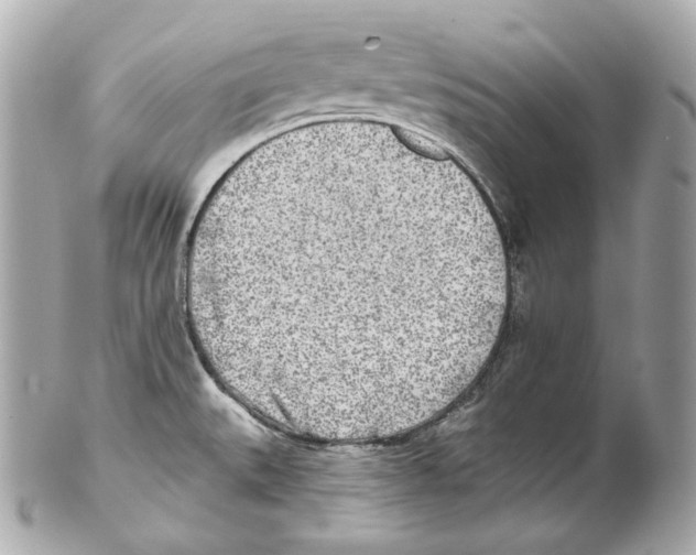 X0000102021527200808151303