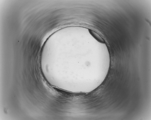 X0000102021530200808151303