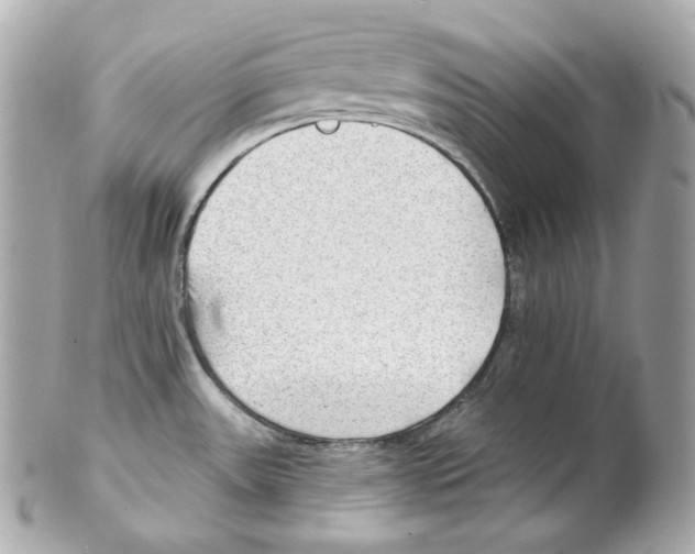 X0000102021531200808151303
