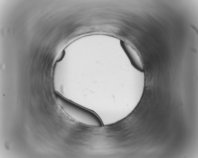 X0000102021532200808151303