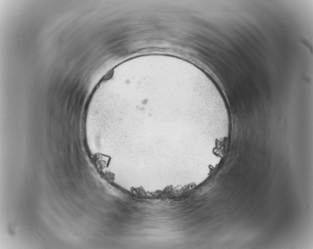 X0000102021533200808151303