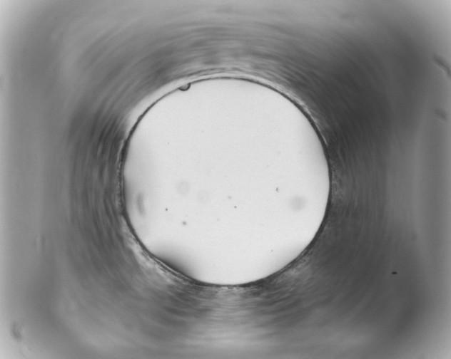 X0000102021534200808151304