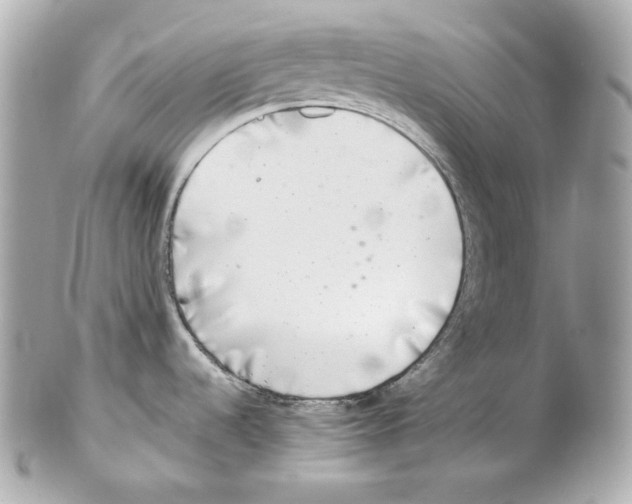 X0000102021536200808151304