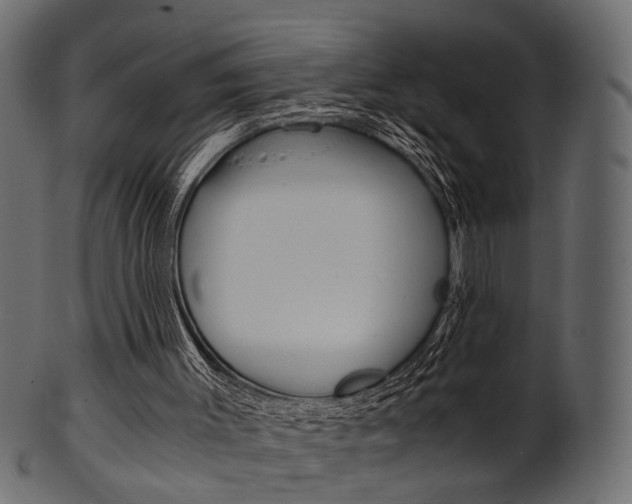 X0000102030003200807181017