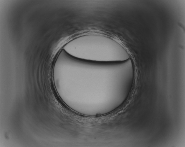 X0000102030007200807181017