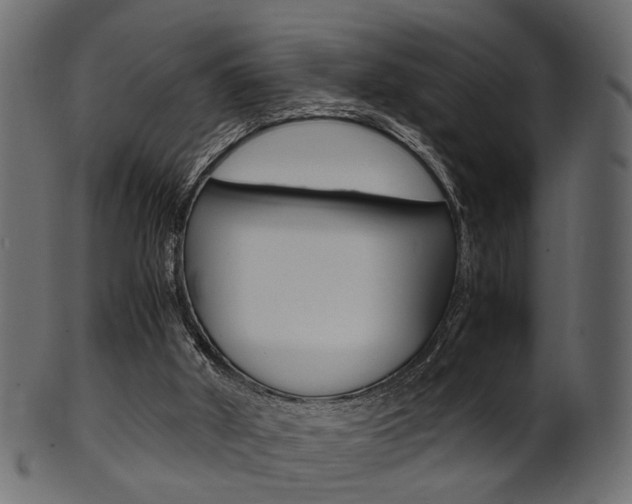 X0000102030010200807181017