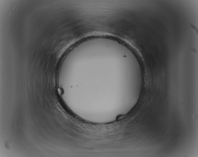 X0000102030015200807181017