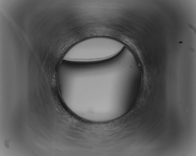 X0000102030017200807181017