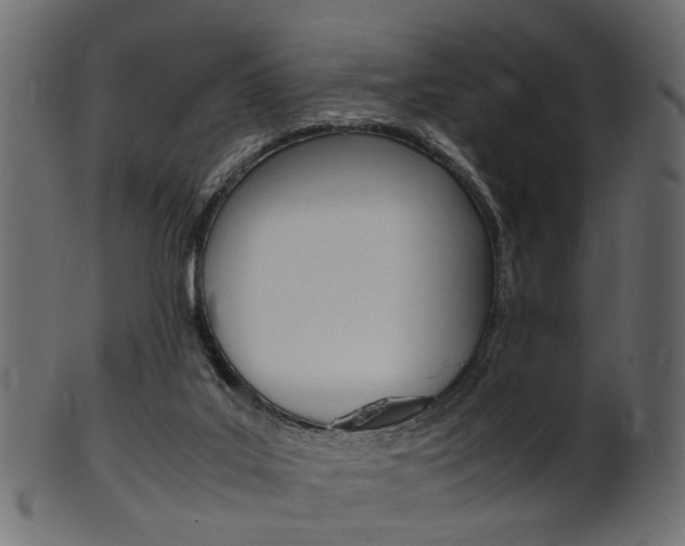 X0000102030019200807181017