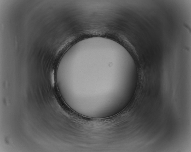 X0000102030020200807181017